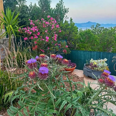 Hvar-zarace Ina 3 Casa vacanze